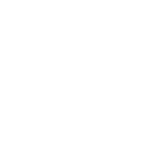 Statistical Programming